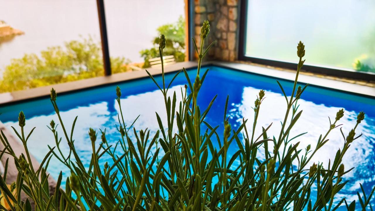 Villa Relax , With Seaview And Two Pools Near Beach Стариград Экстерьер фото